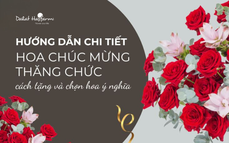 Cach chon hoa chuc mung thang chuc cho sep nam nu